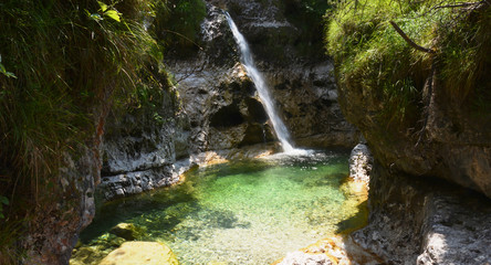 clear and pure spring water flows into the forest