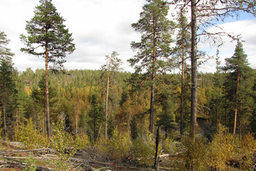 Autumn fishing on the Kola Peninsula.