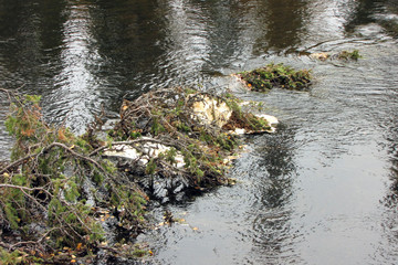 Autumn fishing on the Kola Peninsula.