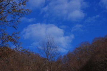 Italia : Paesaggio montano,Campania,10 Marzo 2020.