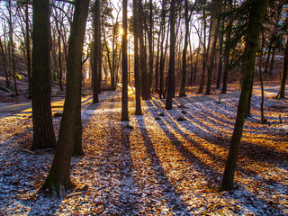 paths in the winter park with sun setting