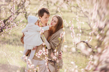 Young family in blooming gardens. Dad and mom are holding a little daughter in their arms. Parental love and protection.