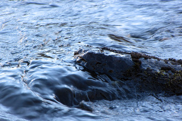 Autumn fishing on the Kola Peninsula.