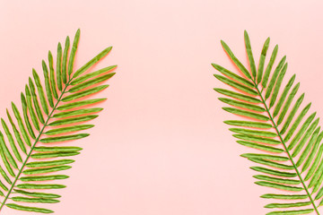 Fototapeta premium Tropical palm leaves with copy space in the middle