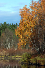 Autumn fishing on the Kola Peninsula.