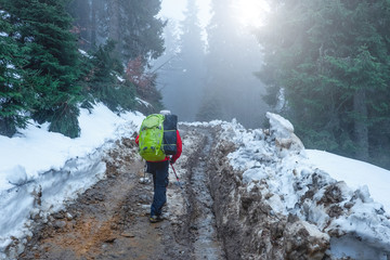 Group of hikers walking into dirty trails through forested snowy Carpathian mountains