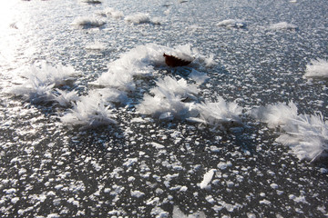 Vom Wind geformte bizzarre Eiskristalle auf einem gefrorenen See in Oberschwaben