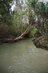 Eli Creek, Fraser Island Australia