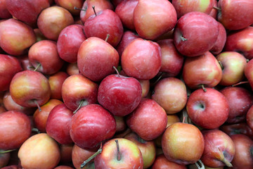 red juicy ripe apples on a counter in a supermarket