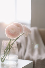 Bunch of fresh flowers in vase on table.  Interior decor. Spring wallpaper. Wedding or birthday greeting cards and invitations.