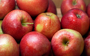 Fototapeta na wymiar Bright red apples, with few wet drops, displayed on food market, closeup detail