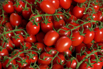 Heap of small cherry red tomatoes with green vine, photo from above