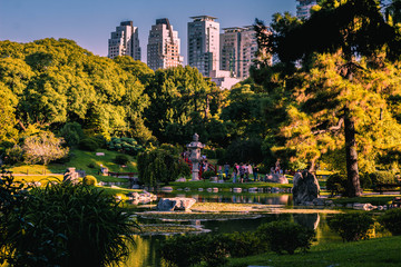 Obraz premium Jardín japones 2