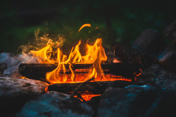 Vivid smoldered firewoods burned in fire close-up. Atmospheric warm background with orange flame of...