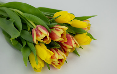 colorful spring flowers bouquet of tulips on a white background