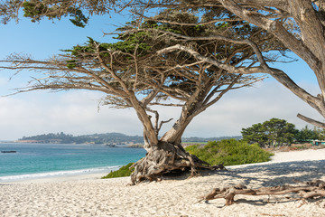 Carmel by the Sea