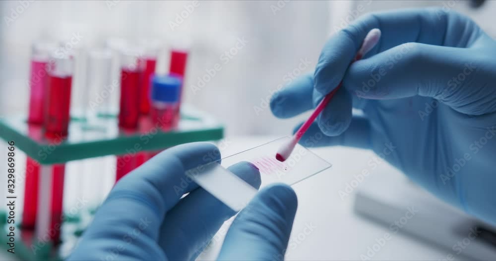 Wall mural close- up of scientist studying sample under microscope in the laboratory.