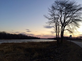 Fototapeta na wymiar tree along the river at sunset