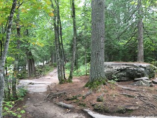 Path in Woods