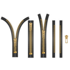 Set of Metal or plastic fasteners, zippers. Garment components and handbag accessories, Fastener and zipper isolated on white background, vector eps 10 format