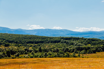 beautiful mountain landscape with green plants and blue sky