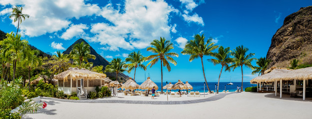 Sugar beach Saint Lucia , a public white tropical beach with palm trees and luxury beach chairs on the beach of the Island St Lucia Caribbean