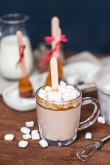 Hot chocolate on the stick
