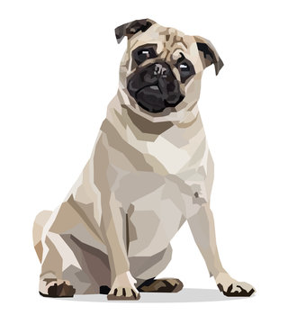 Low poly dog pug. On white background. Vector illustration.