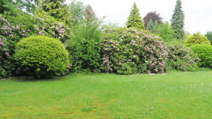 Sommerblüten 01