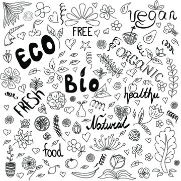 Freehand drawn sketch on the theme of eco-friendly natural fresh food in doodle style. Vector illustration, modern template design for textile, poster, flyer, wrapping paper, wallpaper, etc.