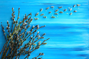 Fototapeta na wymiar A bouquet of ikebana from willow branches lie on the left against a sky-blue canvas. Space for designer text
