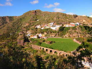 Botanical garden (Tafira Alta, Gran Canaria, Spain)