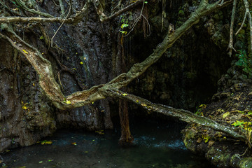 Baths of Aphrodite grotto with cool pond and water spring. Polis, Cyprus.