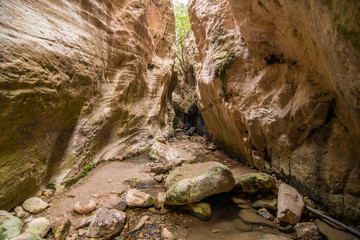 Avakas Gorge in Cyprus. Little river in foreground, sunlit rocks are in background