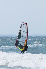 Naklejka premium windsurfing