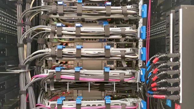 Netzwerkkabel an einem Netzwerk Switch f&uuml;r eine Cloud Umgebung
