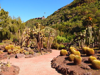 Botanical garden (Tafira Alta, Gran Canaria, Spain) - obrazy, fototapety, plakaty