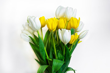 Yellow and White Bouquet of Tulips
