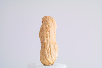 Single peanut in shell macro close up shot vertical curved isolated against with background