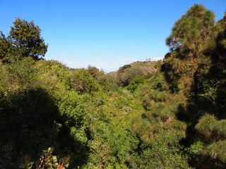 Botanical garden (Tafira Alta, Gran Canaria, Spain)