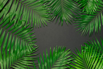 Fototapeta na wymiar Creative minimal background with tropical leaves. Frame of tropical palm leaves on gray black background. Flat lay, top view, copy space. Summer background, nature. Leaf pattern