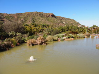 Botanical garden (Tafira Alta, Gran Canaria, Spain)