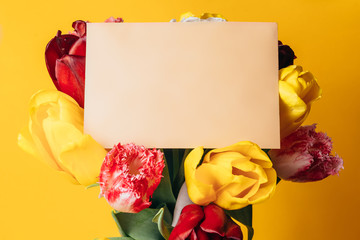 Bouquet of tulips with a note on a yellow background.
