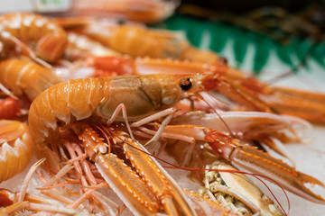 Close up view of a fresh prawn pile with copy space