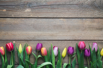 Colorful Tulips On Wooden Planks