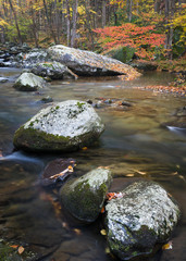 The Middle Prong of the Little River flows through a pristine autumn landscape in Great Smoky Mountains National Park, Tennessee, USA.