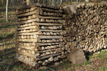Warming fire wood pile in the forest