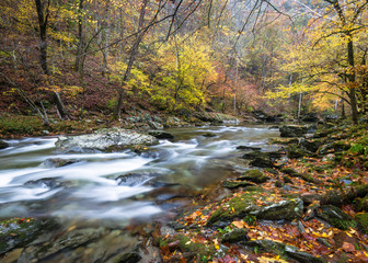 The Middle Prong of the Little River flows peacefully through the autumn landscape of Great Smoky Mountains National Park in the Appalachian Mountains of Tennessee.