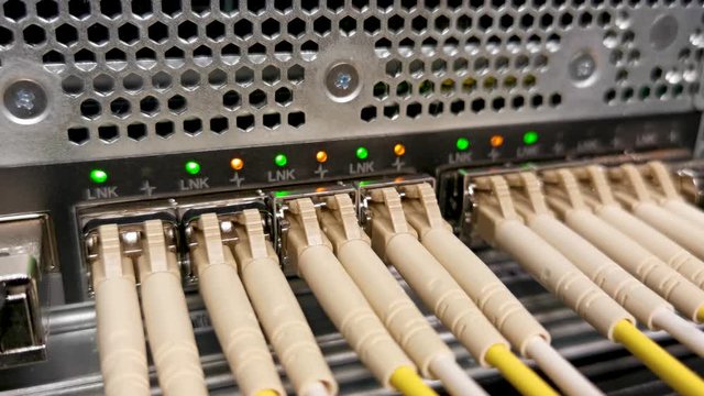 Netzwerkkabel an einem Netzwerk Switch f&uuml;r eine Cloud Umgebung, die Led Blinken und signalisieren die Datennutzung