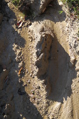 Wet brown plowed land fertile ground